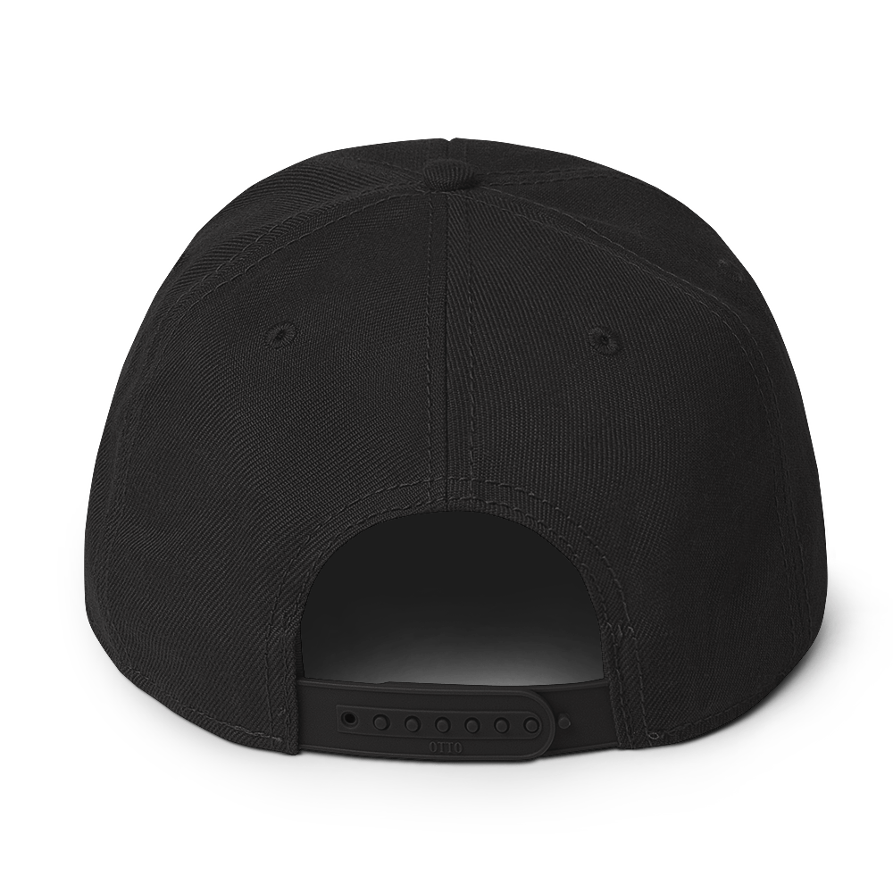 SCIENCE Snapback Hat in Black